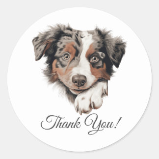 Australian shepherd Cute Hund Tack Runt Klistermärke