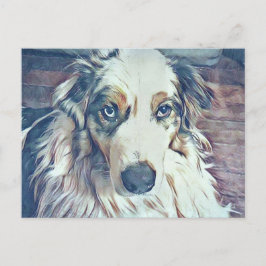 Australian shepherd Digital Art Vykort
