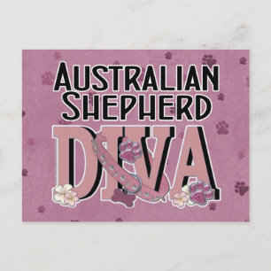 australian shepherd DIVA Vykort