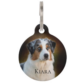 Australian shepherd djurbricka