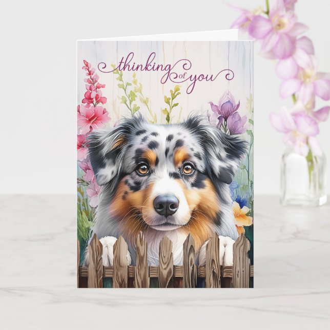 Australian Shepherd Dog Fence Thinking of You Kort (Orkide)