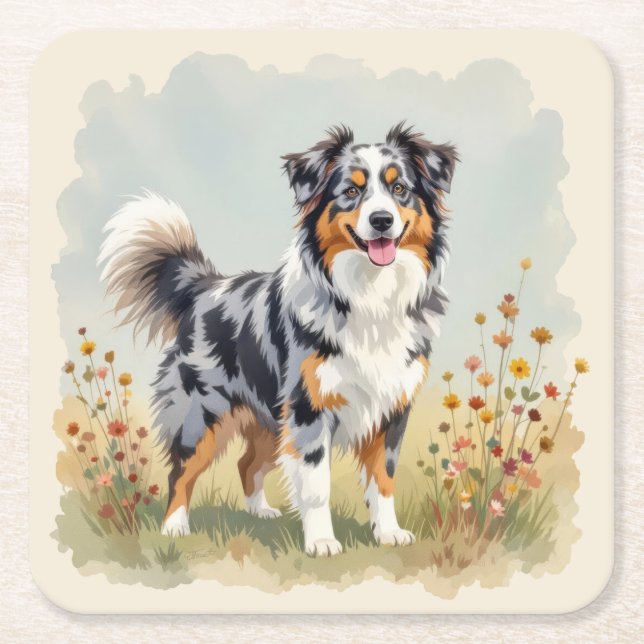Australian Shepherd Dog Merle Lång Svans Underlägg Papper Kvadrat (Framsidan)