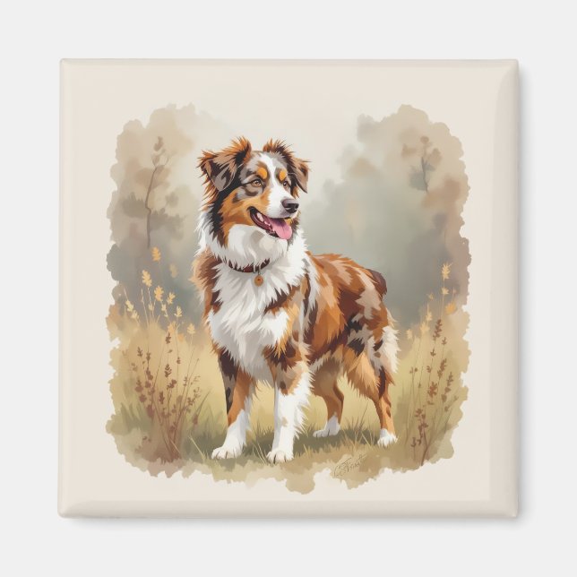 Australian Shepherd Dog Red Merle Aussie Magnet (Framsidan)