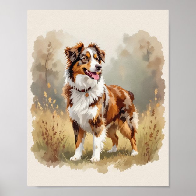 Australian Shepherd Dog Red Merle Aussie Poster (Framsidan)