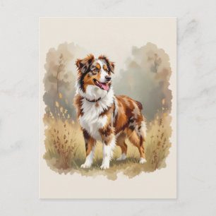 Australian Shepherd Dog röd Merle Aussie Vykort