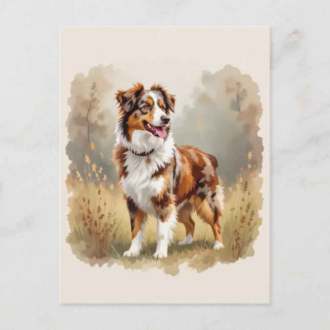 Australian Shepherd Dog röd Merle Aussie Vykort (Framsida)