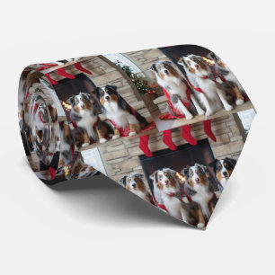 Australian shepherd efter fierjulen slips