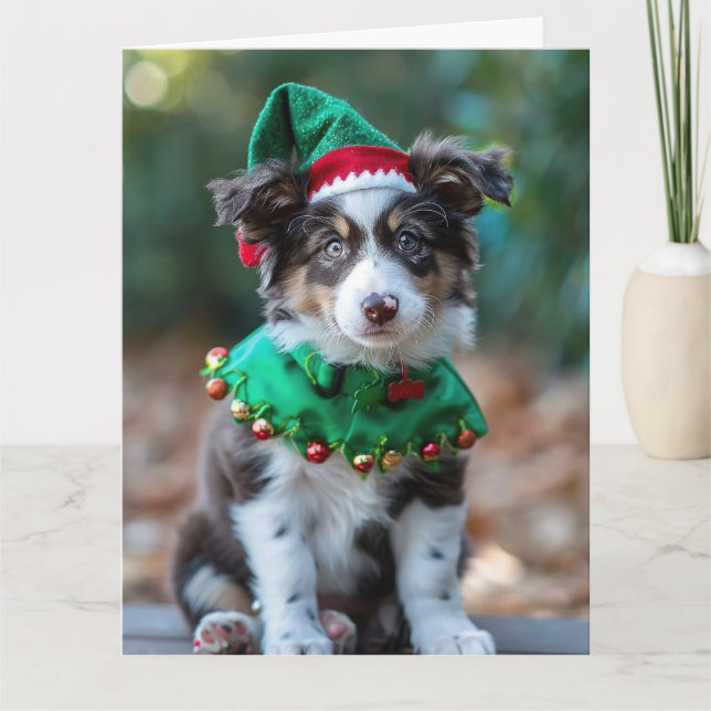 Australian shepherd Elf Puppy-julkort Kort (Framsida)