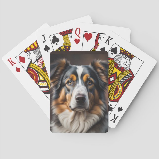 Australian shepherd får Hund Casinokort (Baksidan)