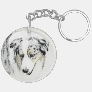 Australian shepherd-färg - originalbild av Hund