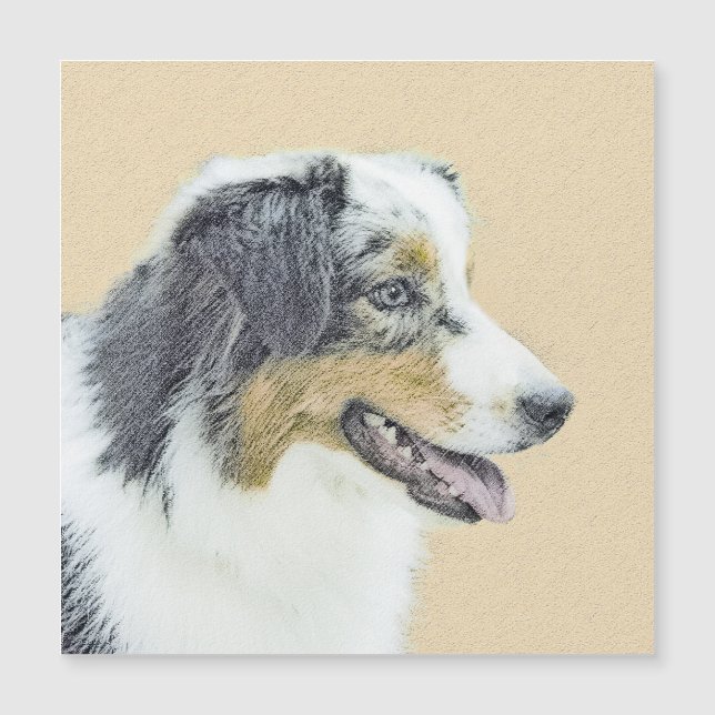 Australian shepherd-färg - originalbild av Hund (Framsida)