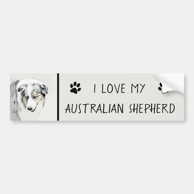 Australian shepherd-färg - originalbild av Hund Bildekal (Framsidan)