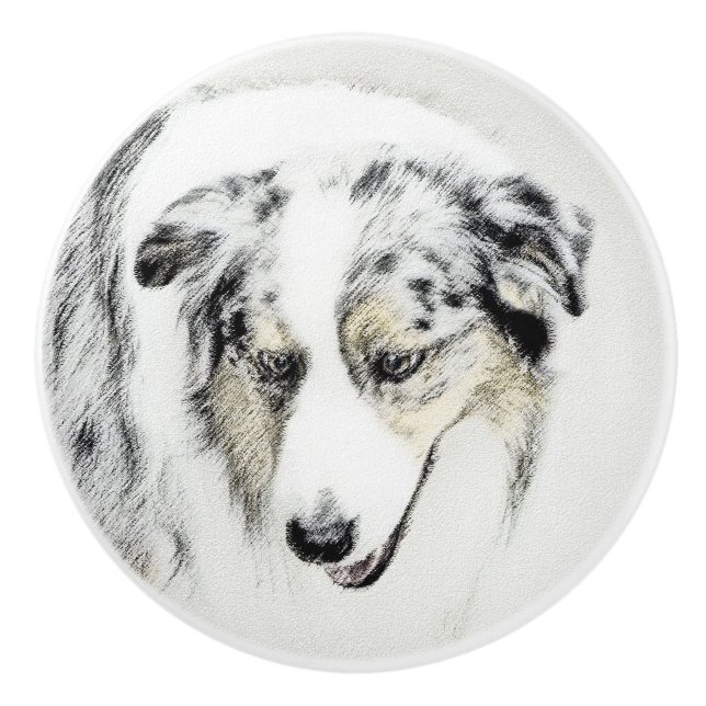 Australian shepherd-färg - originalbild av Hund Knopp (Framsidan)