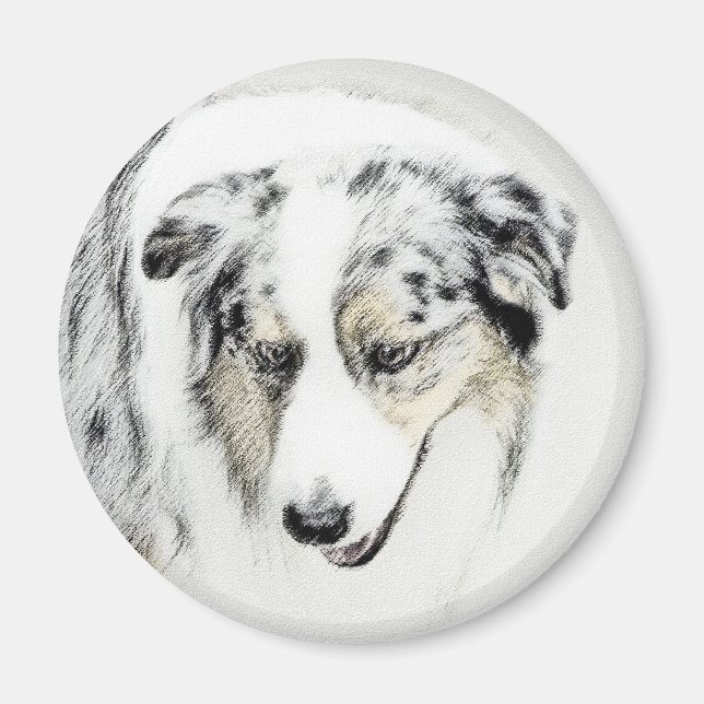 Australian shepherd-färg - originalbild av Hund Magnet (Framsidan)