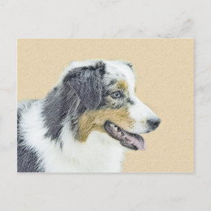 Australian shepherd-färg - originalbild av Hund Vykort