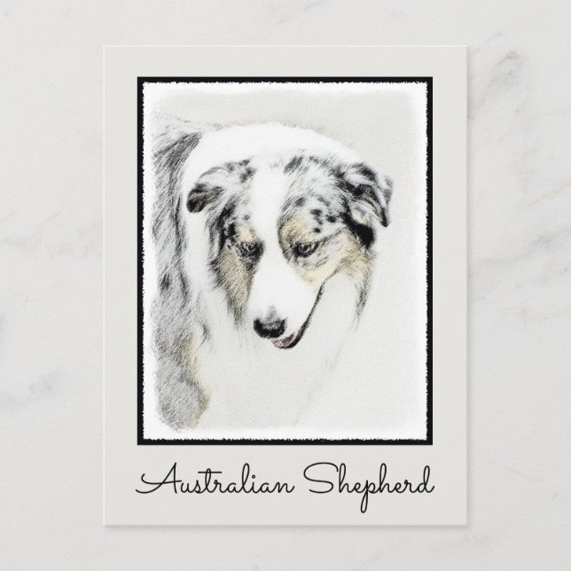 Australian shepherd-färg - originalbild av Hund Vykort (Framsida)