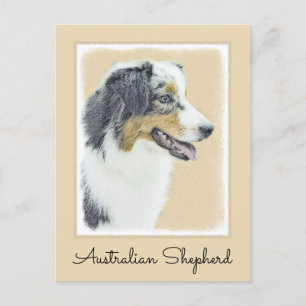 Australian shepherd-färg - originalbild av Hund Vykort