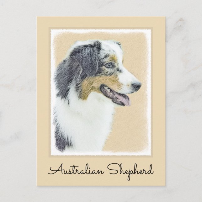 Australian shepherd-färg - originalbild av Hund Vykort (Framsida)