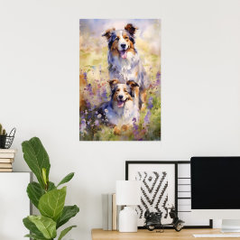 Australian shepherd färgstarka vattenfärgsbilder poster