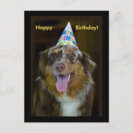 Australian shepherd Födelsedagsfest Hund Inbjudan Vykort