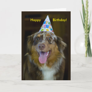 Australian shepherd Födelsedagsfest Hund Kort