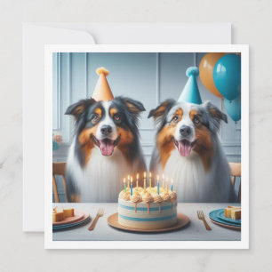 Australian Shepherd, Födelsedagskort för hund, Hun Inbjudningar