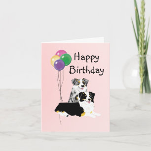 australian shepherd-födelsedagskort kort