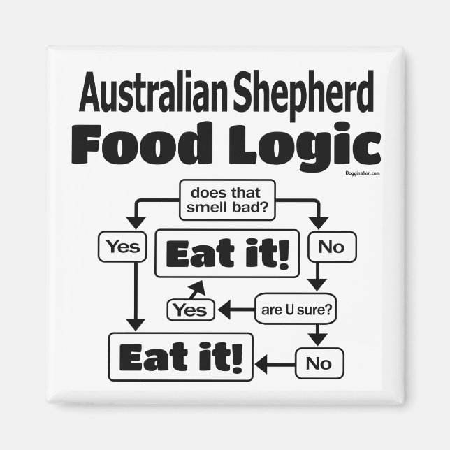 Australian shepherd Food Logic Magnet (Framsidan)