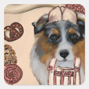 AUSTRALIAN SHEPHERD FYRKANTIGT KLISTERMÄRKE