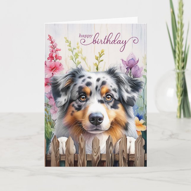 Australian shepherd Garden Fence Birthday Kort (Framsida)