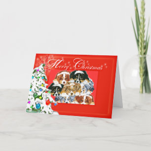 Australian shepherd God jul Helgkort