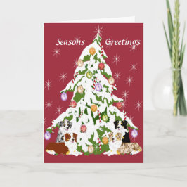 AUSTRALIAN SHEPHERD ~ GOD JUL HELGKORT
