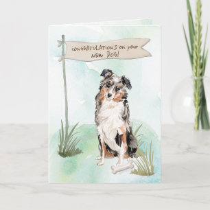 Australian shepherd Grattisar på Nya Hund Kort