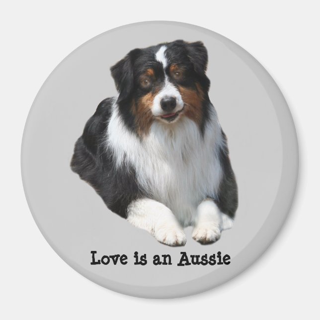 Australian shepherd Guardian Magnet (Framsidan)