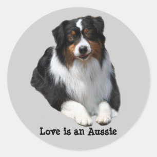 Australian shepherd Guardian Sticker Runt Klistermärke