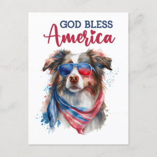 Australian Shepherd, Gud välsigne Amerika vykort