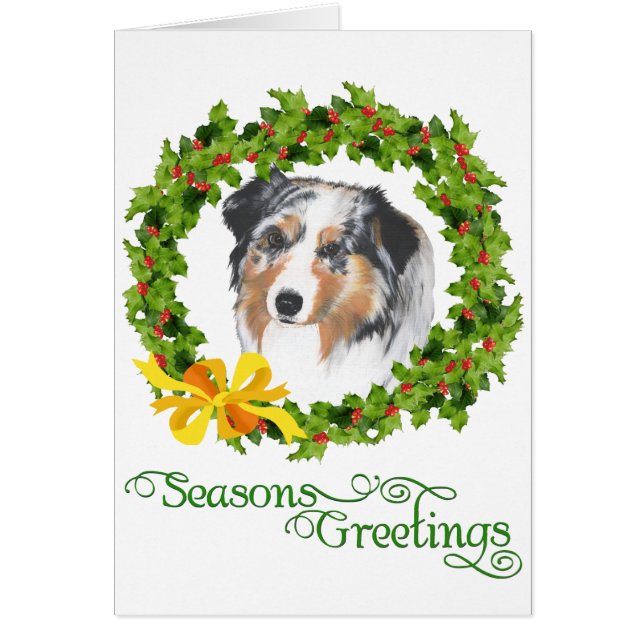 Australian shepherd hälsningskort (Framsidan)