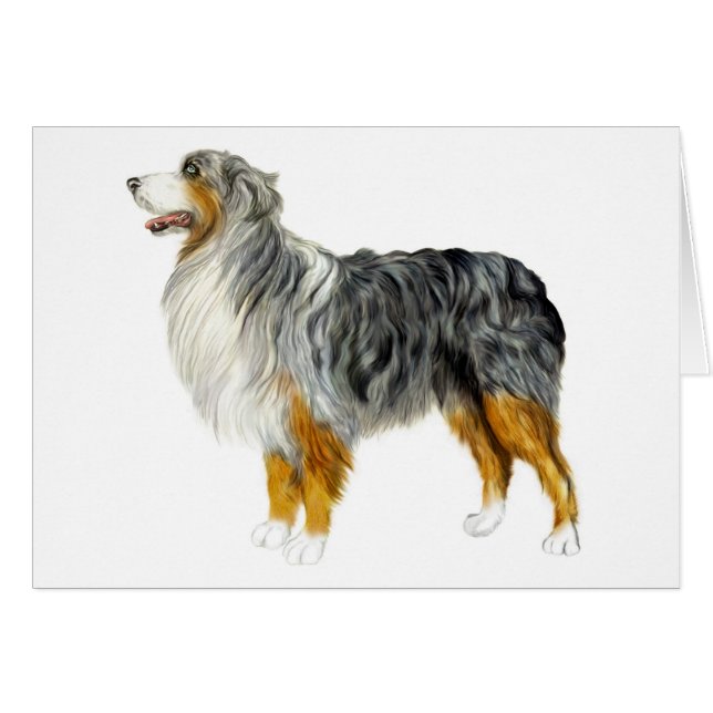 Australian shepherd hälsningskort (Framsidan Horizontal)