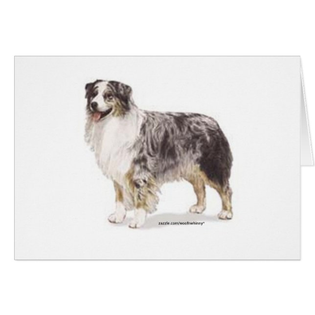 Australian shepherd hälsningskort (Framsidan Horizontal)