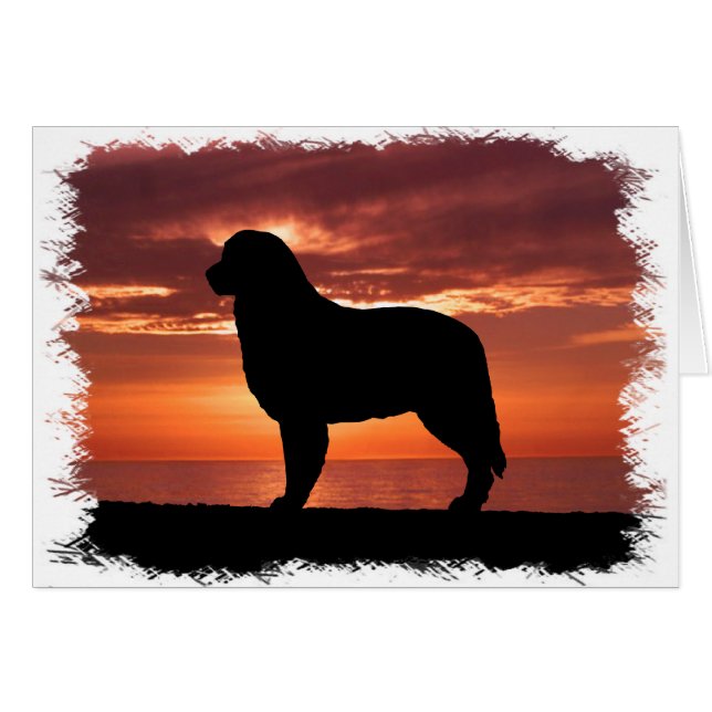 Australian shepherd hälsningskort (Framsidan Horizontal)