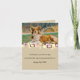 Australian shepherd-hälsningskort kort