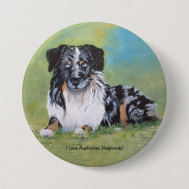 Australian shepherd härlig blåttmerle! knapp (Framsida)