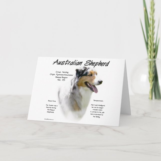 Australian shepherd historia, allt om aussies helgkort (Framsida)