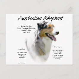 Australian shepherd historia, allt om aussies vykort