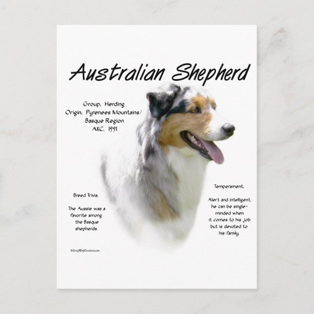 Australian shepherd historia, allt om aussies vykort (Framsida)