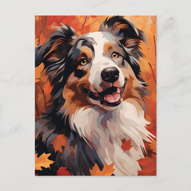 Australian Shepherd Höst Tacksgiving  Vykort (Framsida)