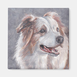 Australian shepherd Hund Art Magnet