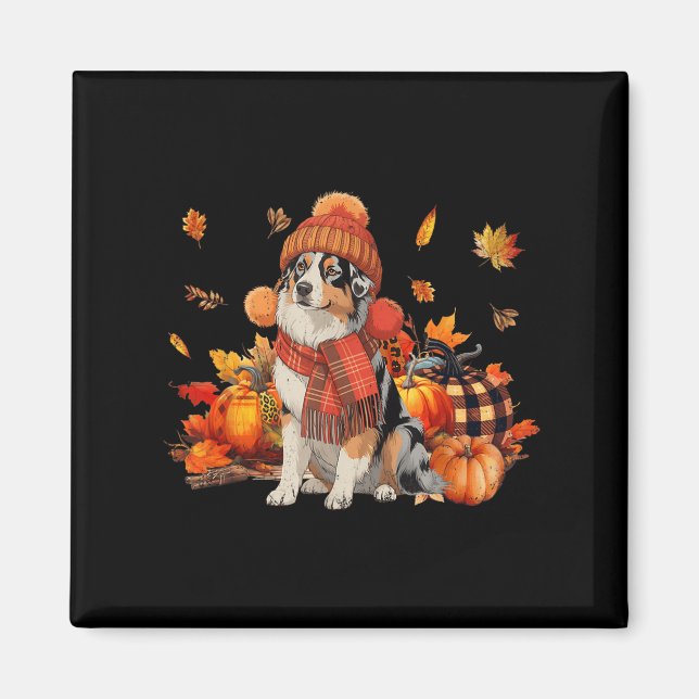 Australian shepherd Hund Fall Scarf Leopard Pumpki Magnet (Framsidan)