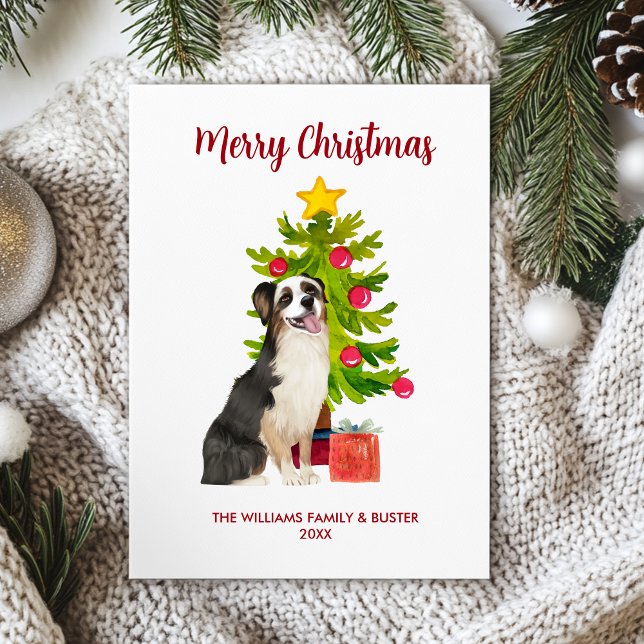 Australian shepherd Hund-familjens jul Julkort (Skapare uppladdad)