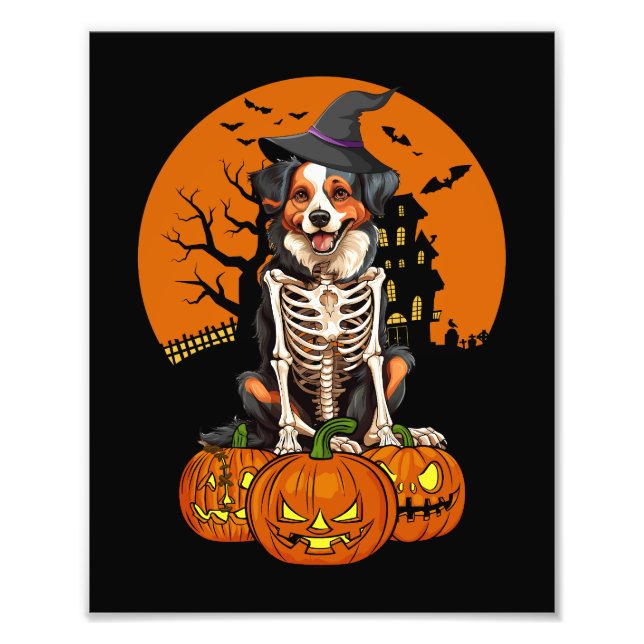 Australian shepherd Hund Halloween Fototryck (Framsidan)